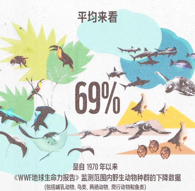 第六次生物大灭绝如果到来，科学家找到证据，人类可能...