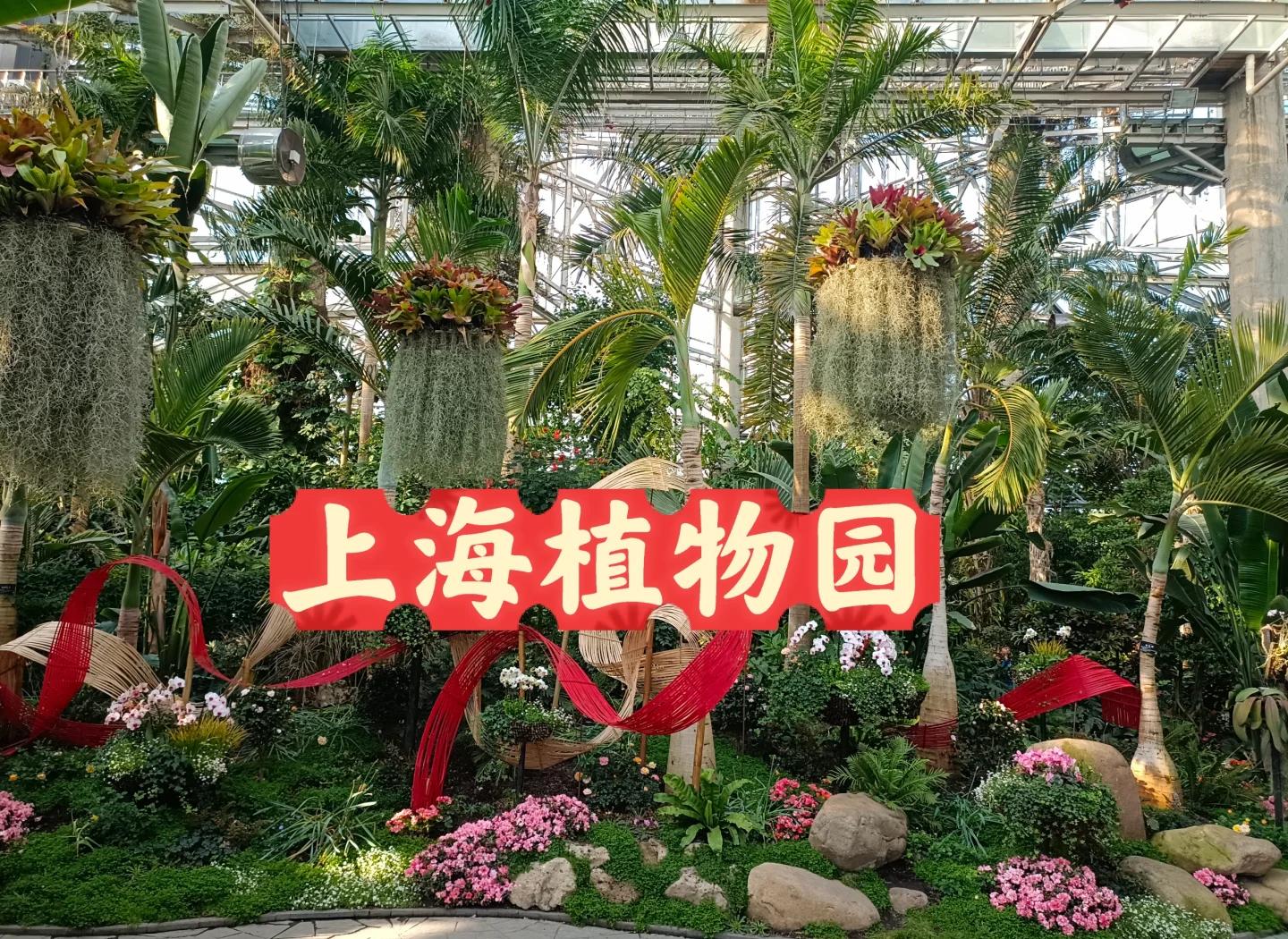 任性盛开的上海东区在哪里?...