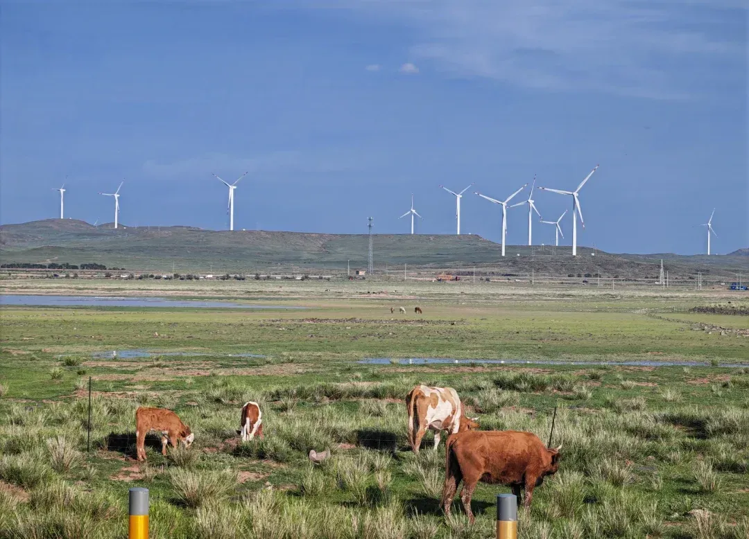乌兰察布海选性价比超级高的场地，乌兰察布是哪个城市