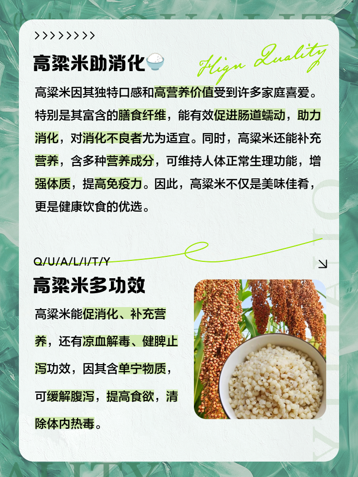 高粱价格