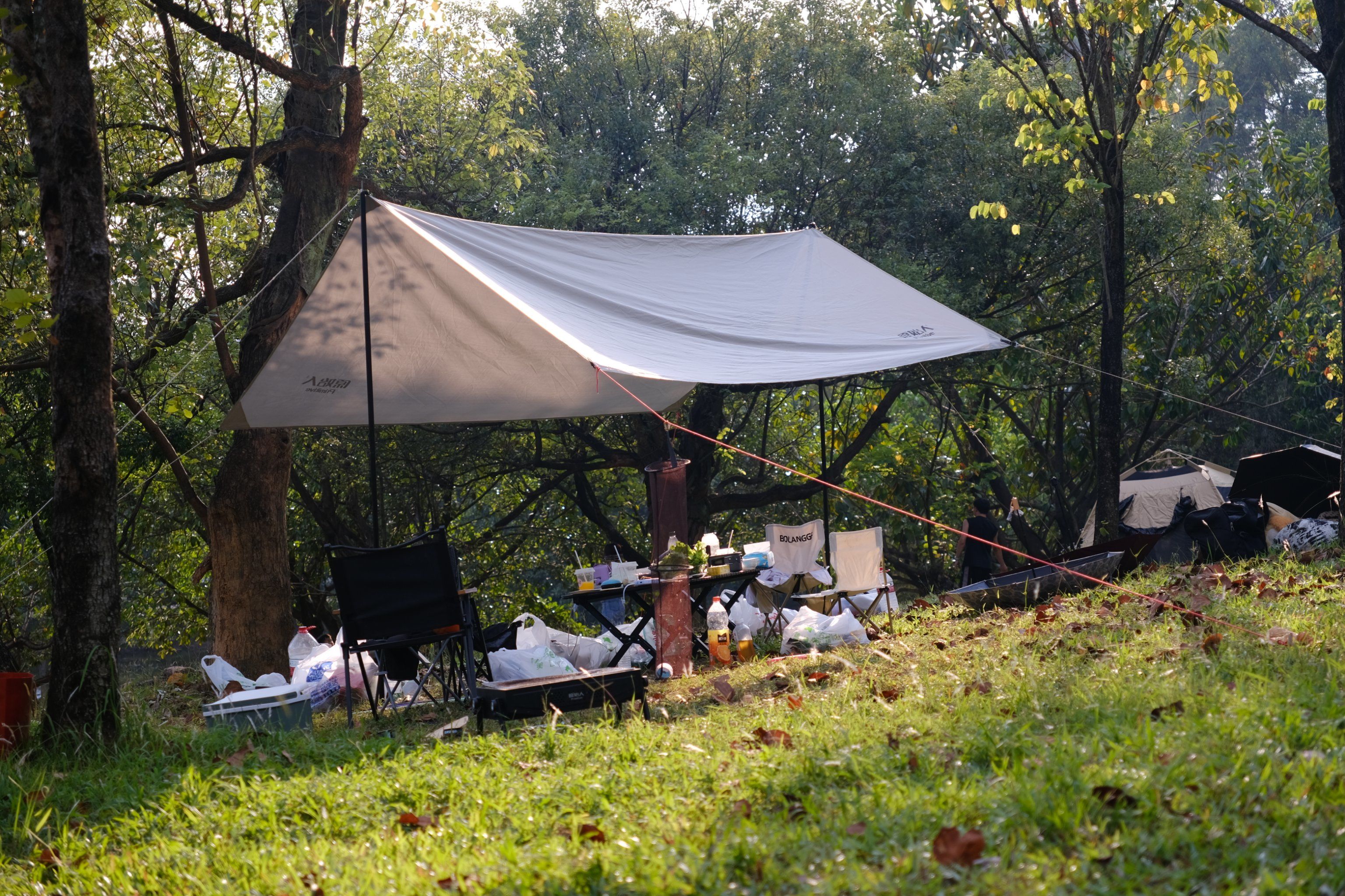 周末去哪找茶馆？3公里内省30%预算的找店攻略