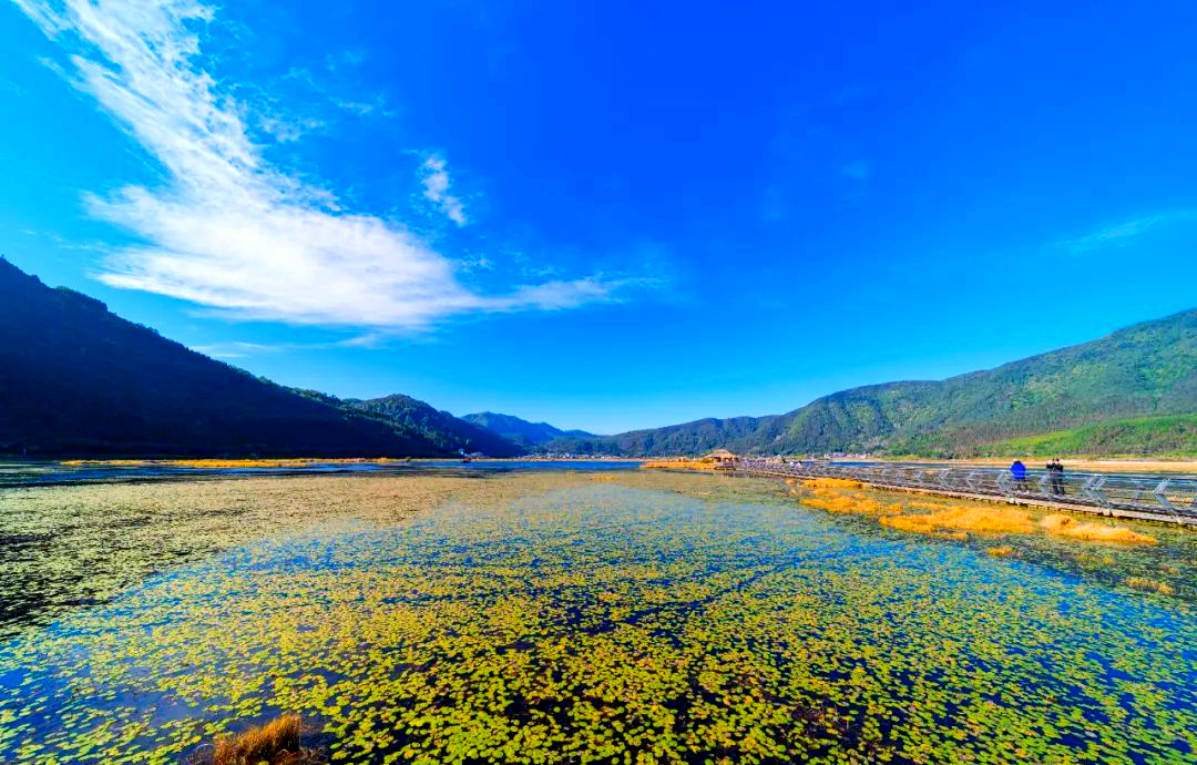 保山哪里有招手女