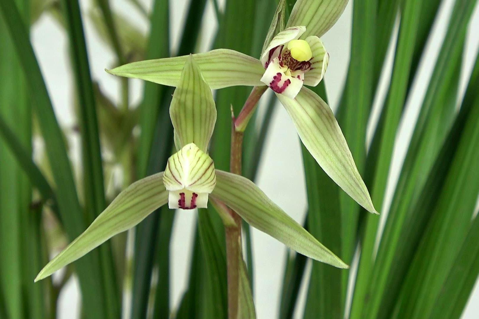 时时关注：珠海翠微女孩去哪了？她现在安全吗最新消息