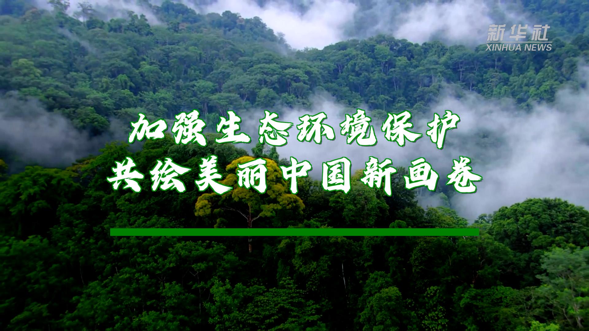 亚马孙雨林不是“世界之肺”吗?...