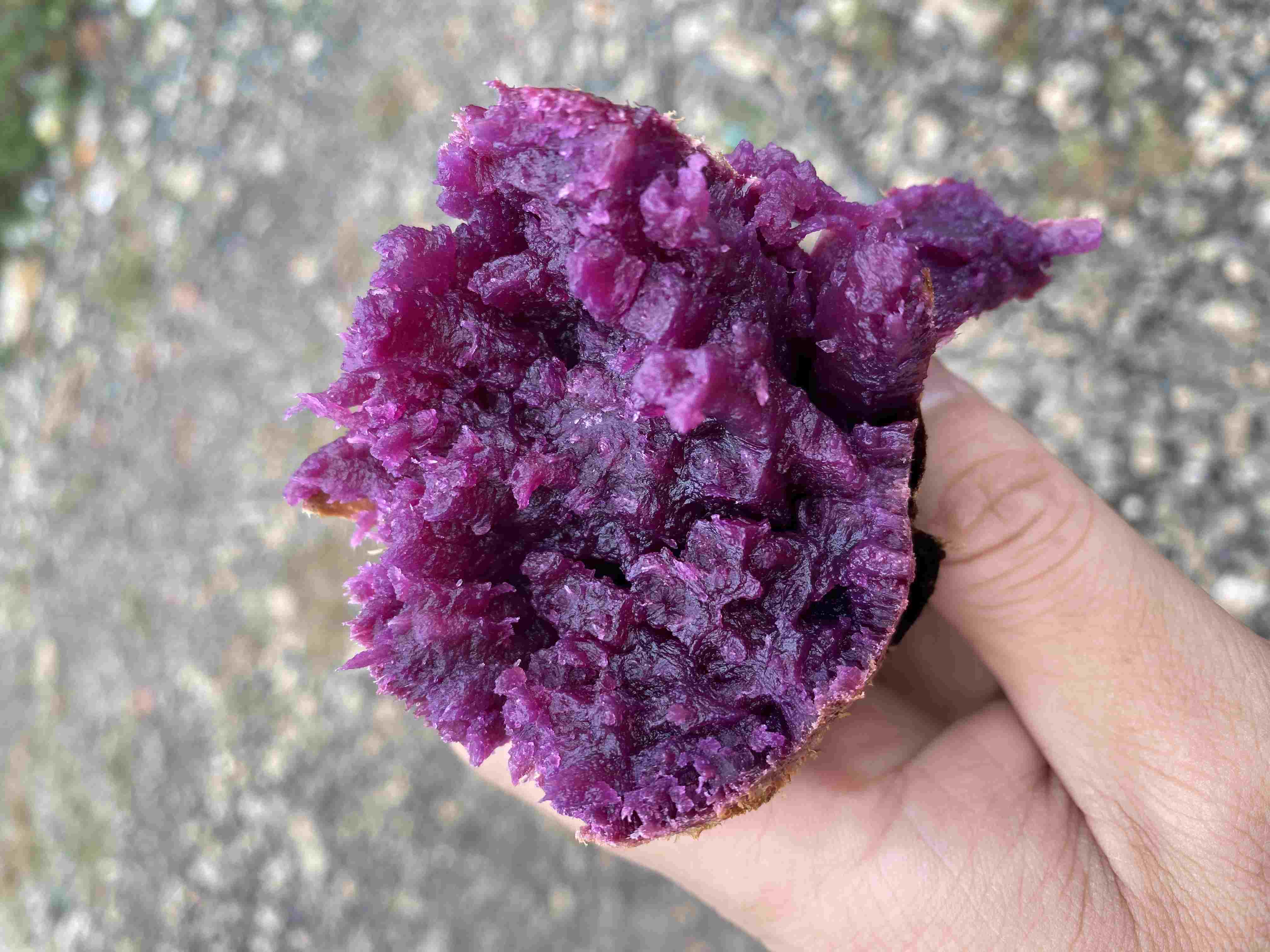 紫薯哪里产的最好 紫薯价格多少钱一斤