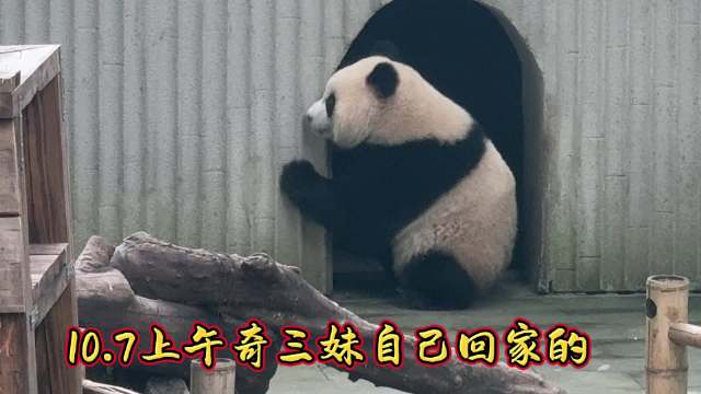 多少人同意孩子随母姓？结果有点出人意料...