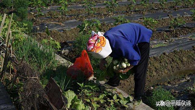 城中村站街姑娘生存实录:边缘群体的生活选择与困境