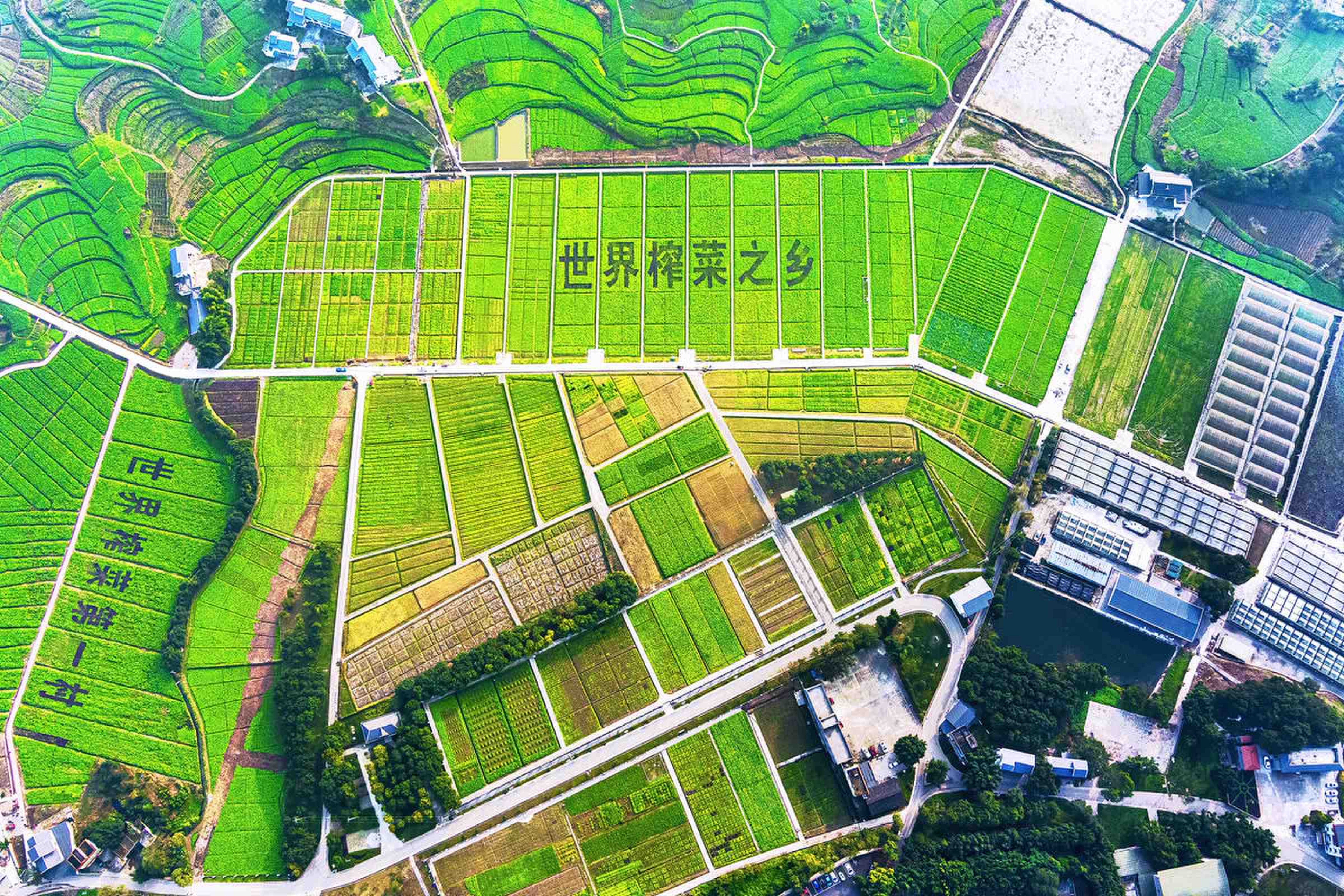 示范区都有哪些 重庆现代农业包括哪些 绵阳科技城现代农业科技示范区简介