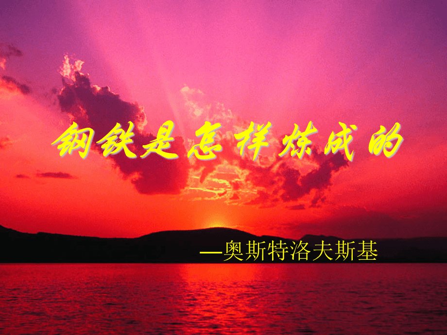 “红人”普京的人气如何炼成?...
