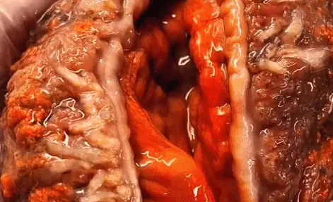 从猎奇到产业：解密'身网站'重塑现代人的自我定价权