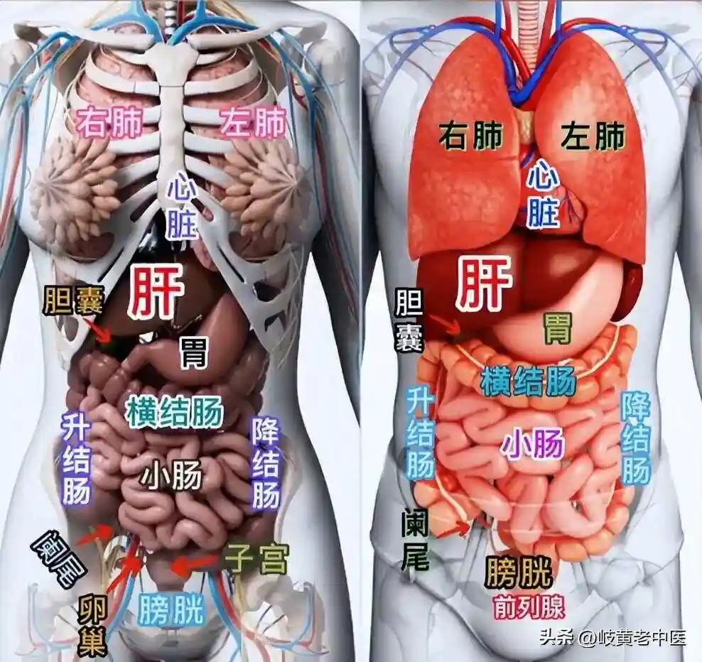 三星专卖店位置大全 各大城市门店地址汇总