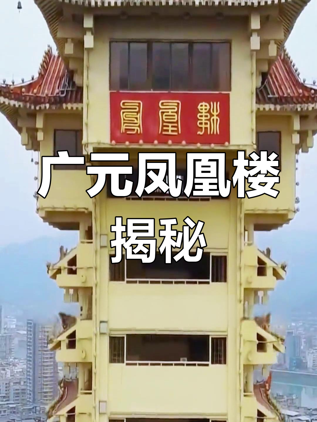 外围凤楼生态调查,灰色地带的生存法则与演化逻辑