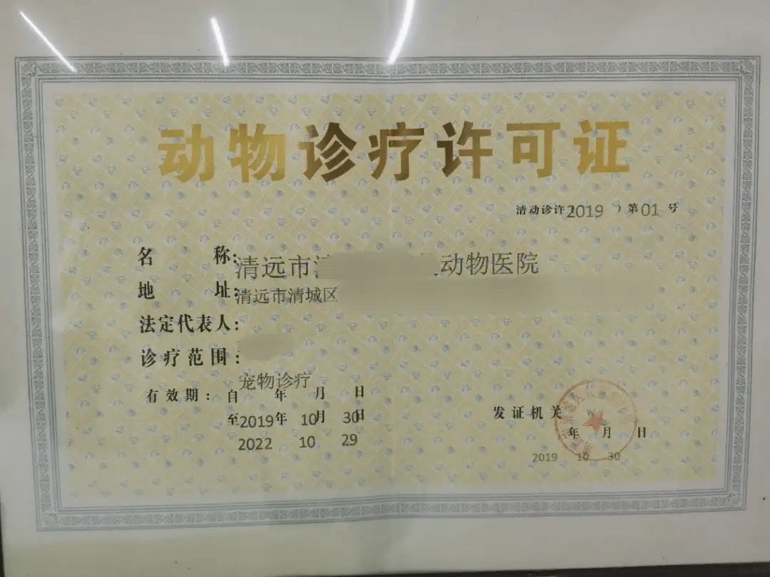 执业兽医