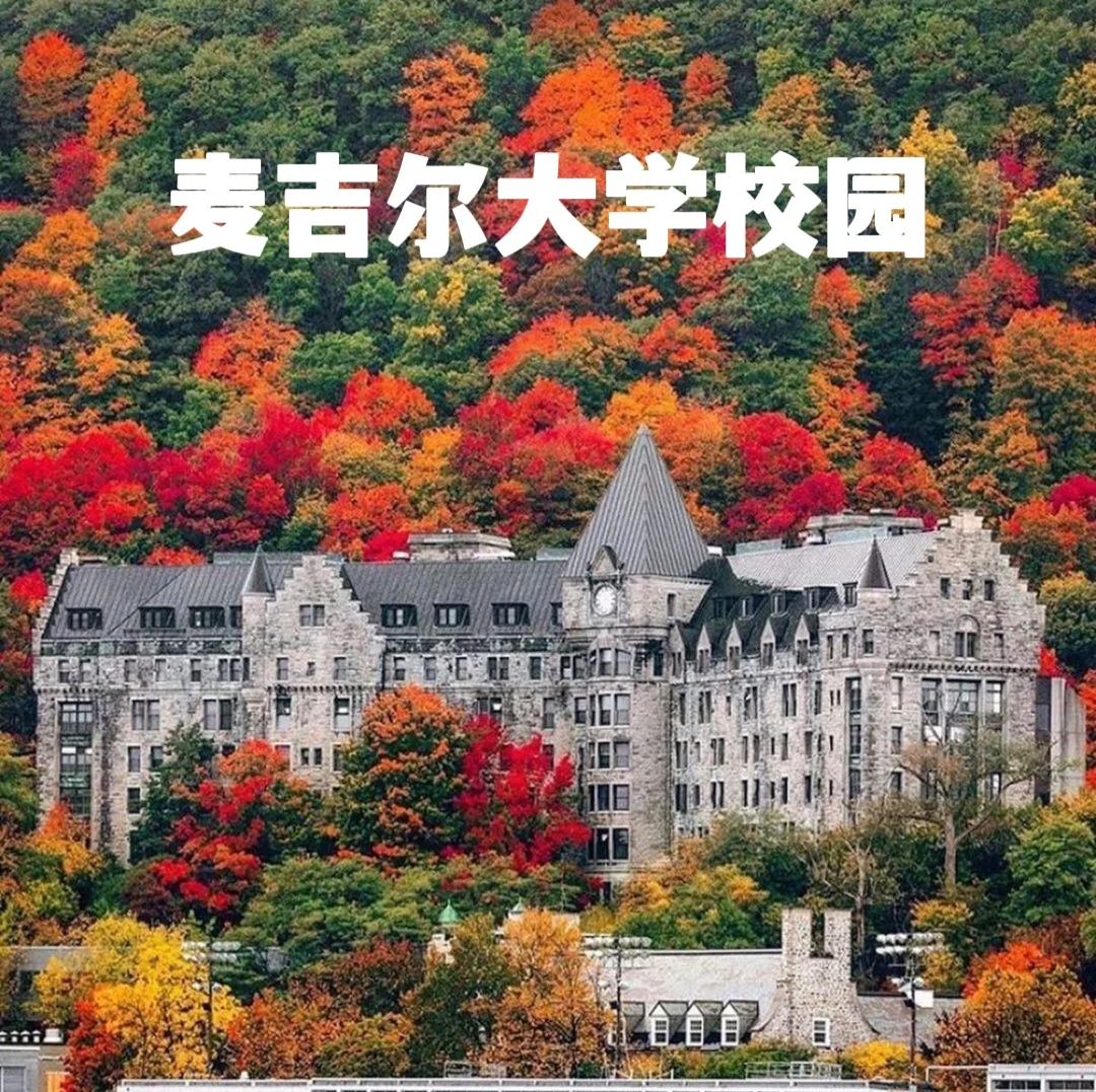 为什么麦吉尔大学被称为低调的加拿大“哈佛”?...