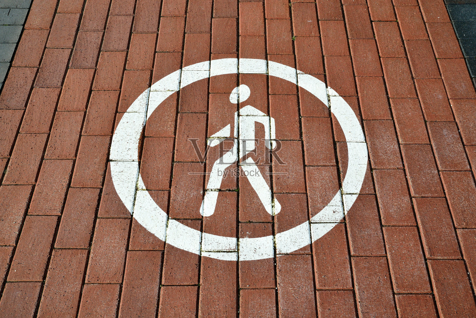 动态路径和静态路径是怎么回事 静态网页设计和IPv6改造价格是多少