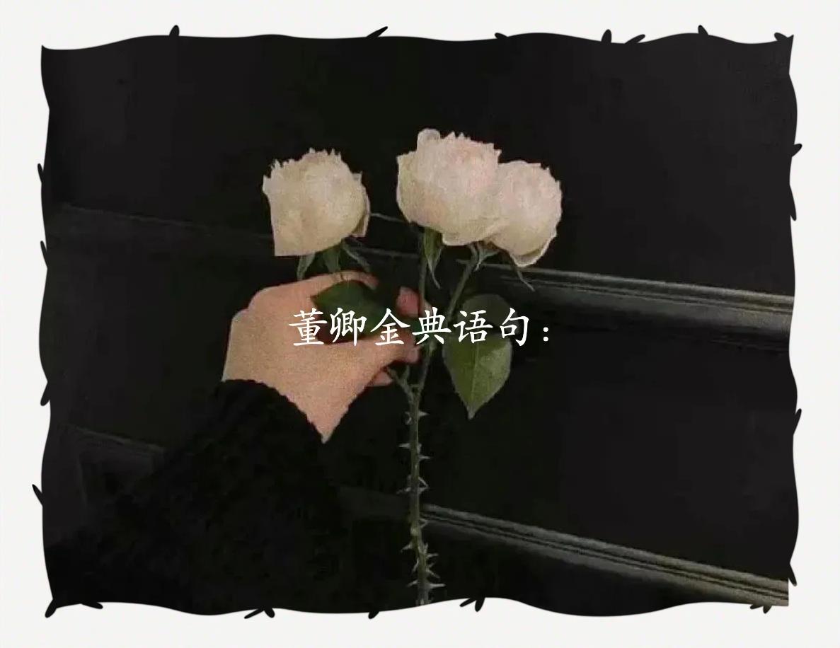 董卿说生而为人下一句 朗读者的经典语录