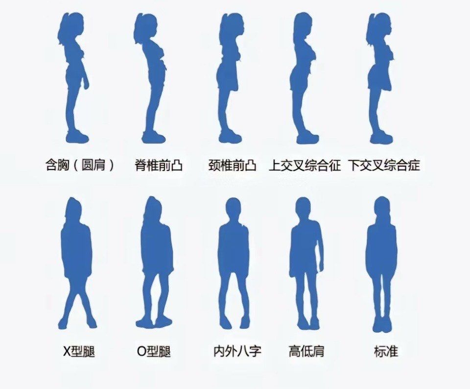 食用油哪种最好最健康