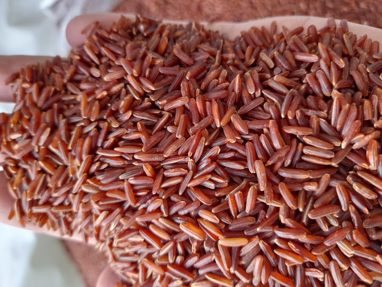 红米note5扩展储存多大 红米note5开发者选项开启方法