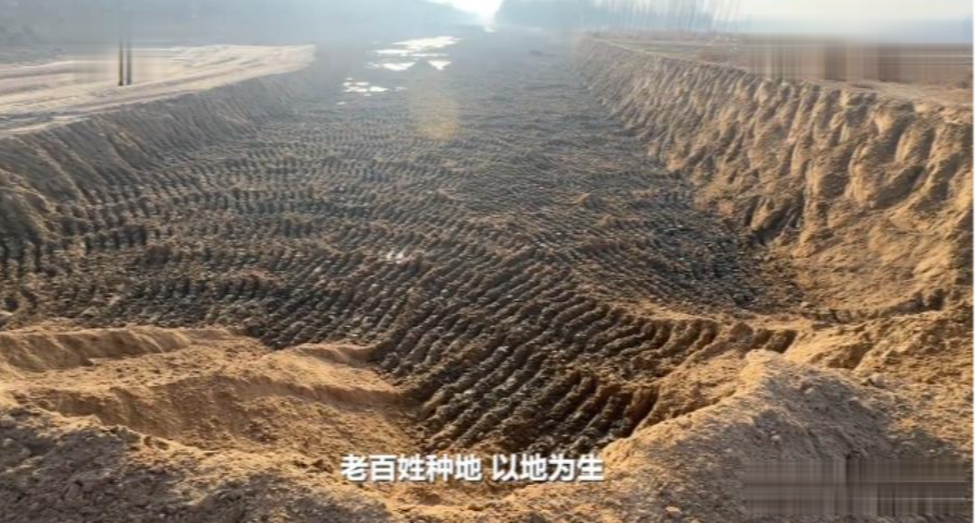 如何避开高价茶陷阱？_3步鉴别法省60%预算
