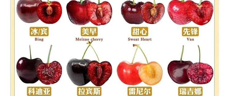 车厘子和樱桃的区别