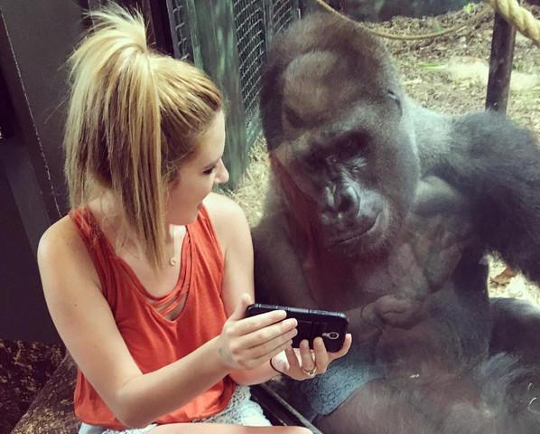 动物行为与人类相似性 最通人性的动物有哪些