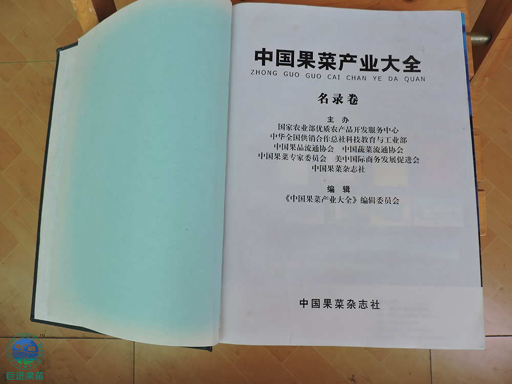 果树种植