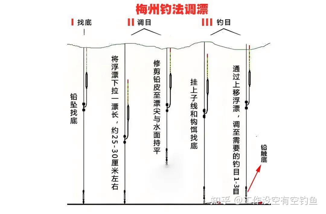 虹鳟鱼