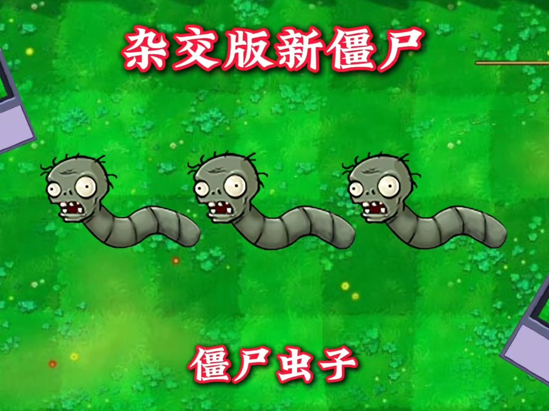 真菌操控下的“僵尸蝉”,为什么会化身泰迪,不停疯狂...