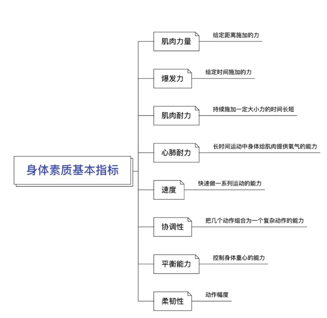运动员的身体跟我们有哪些不一样?...