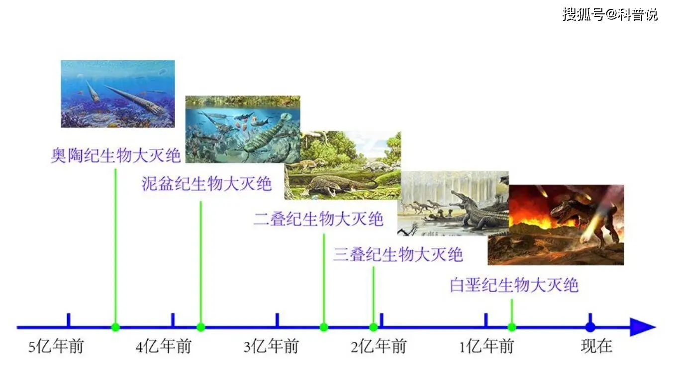 消失物种重现地球 为何违反常理引关注