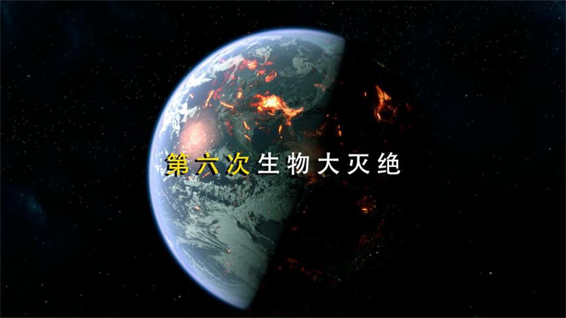 第六次物种大灭绝来临 人类能否逃过这场劫难