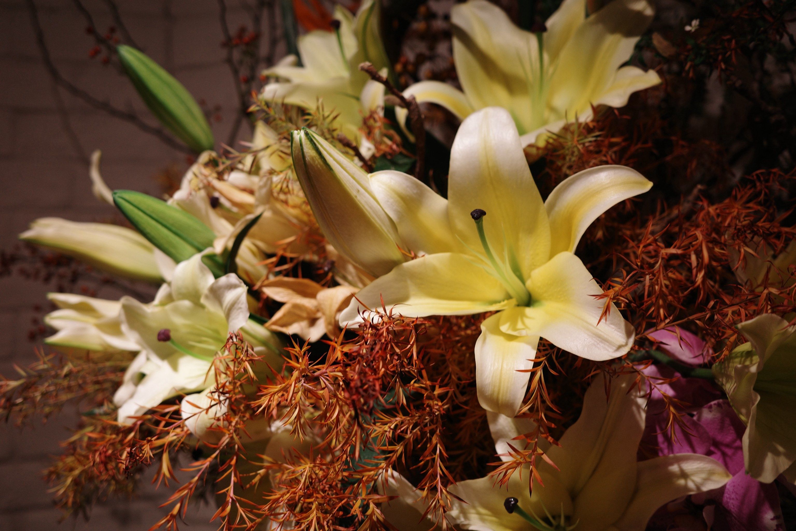 愉悦到家正规吗_揭秘隐藏服务与合规真相