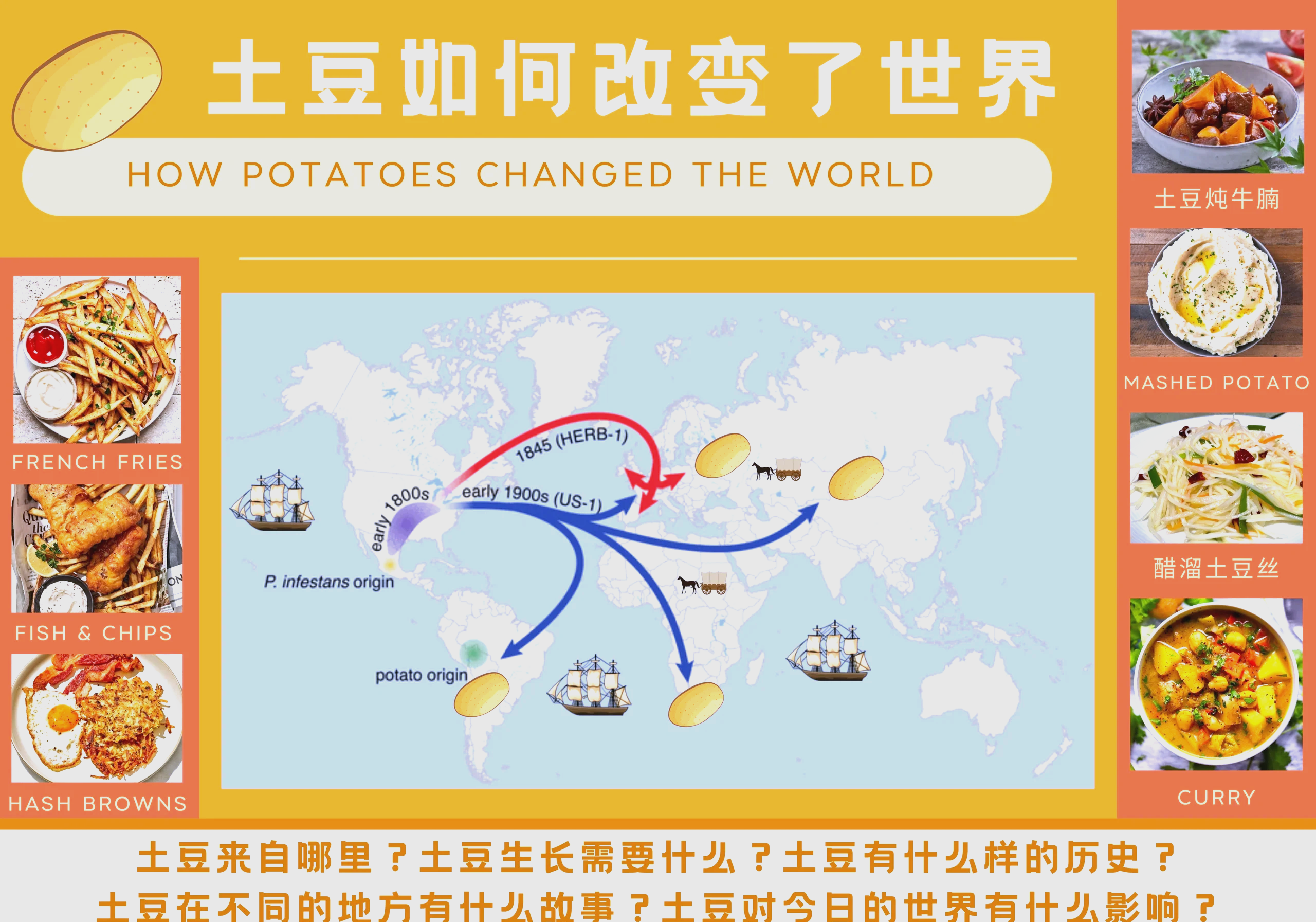 清朝人口爆炸增长 土豆如何改变世界人口格局