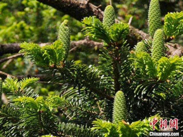 青岛百杉集团培训指南 百易商城如何帮助商户赚钱