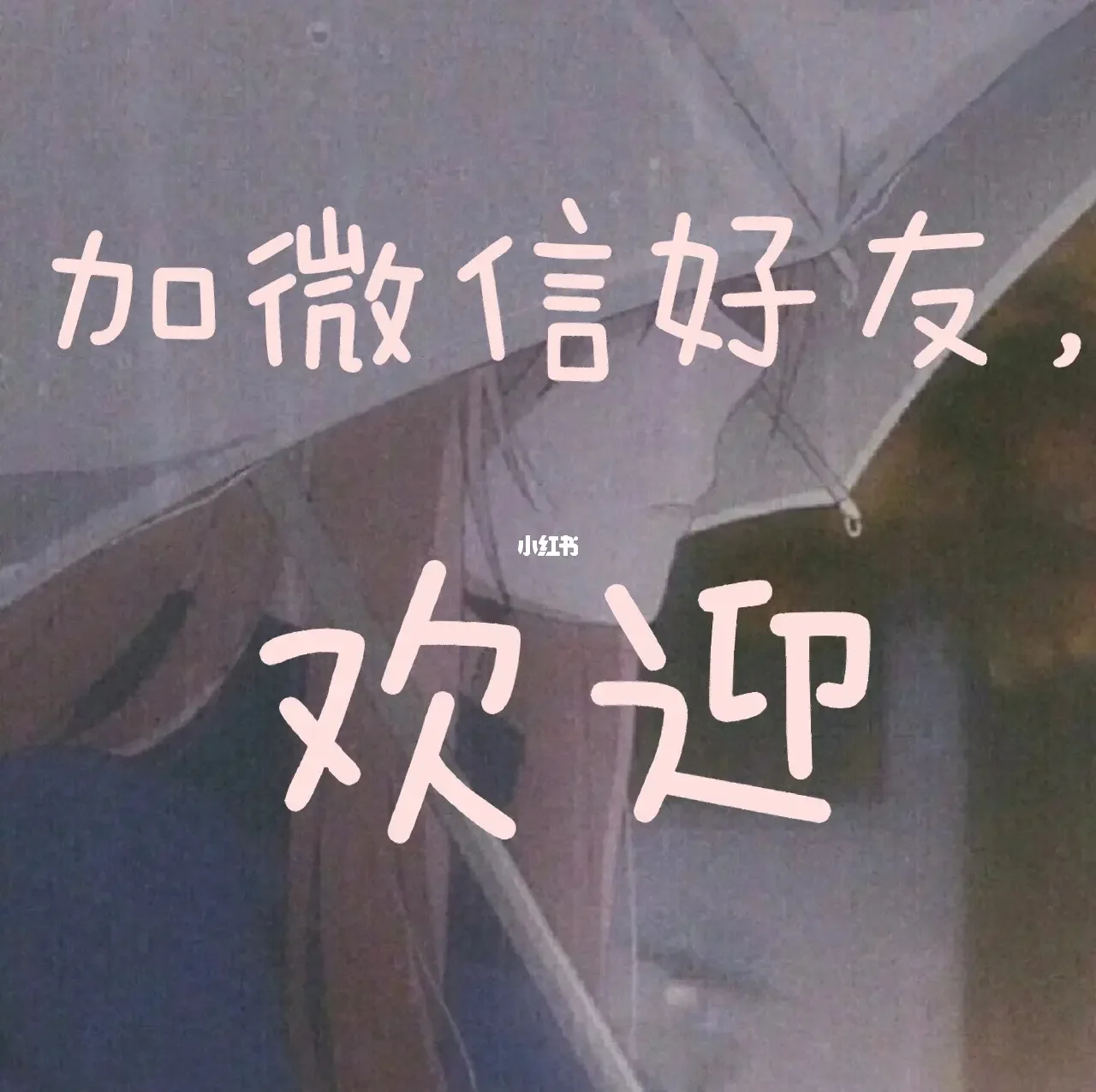 微信扫码加美女的内幕揭秘与使用技巧