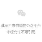 初中生微信零花钱调查:100元一次转账背后的家庭教育迷思