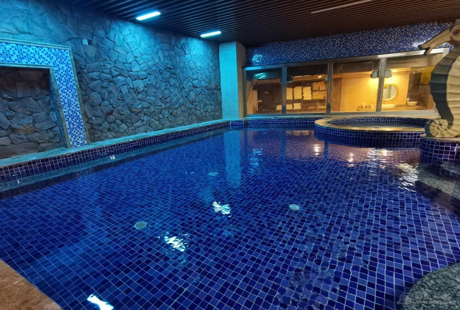 深圳水会深度解析,城市水疗文化新地标,减压养生全攻略