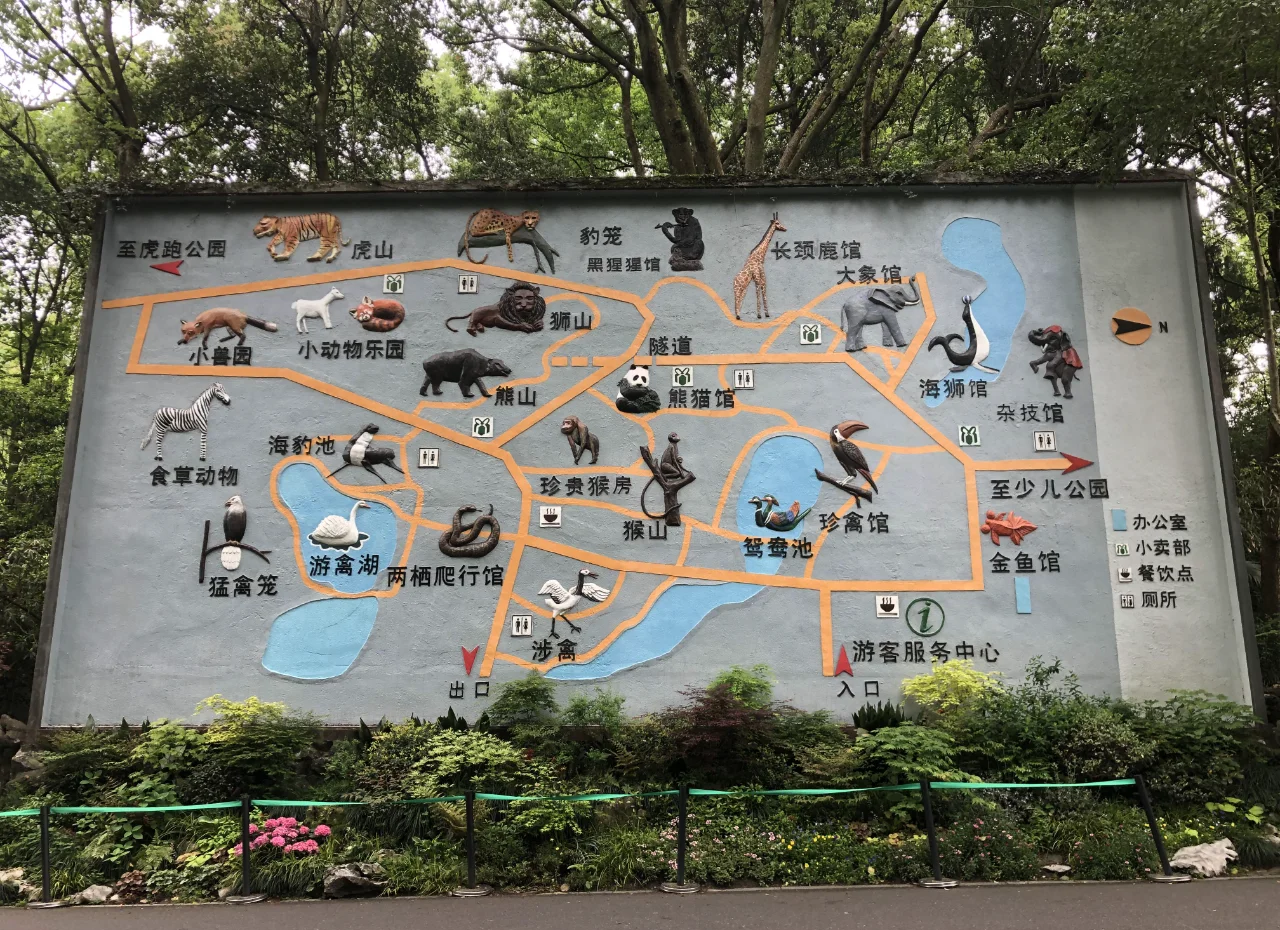 世界唯一的“大学生”猩猩走了？...