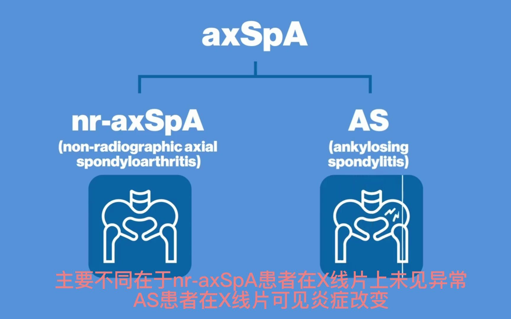 as和asas的区别 相对路径用法解析