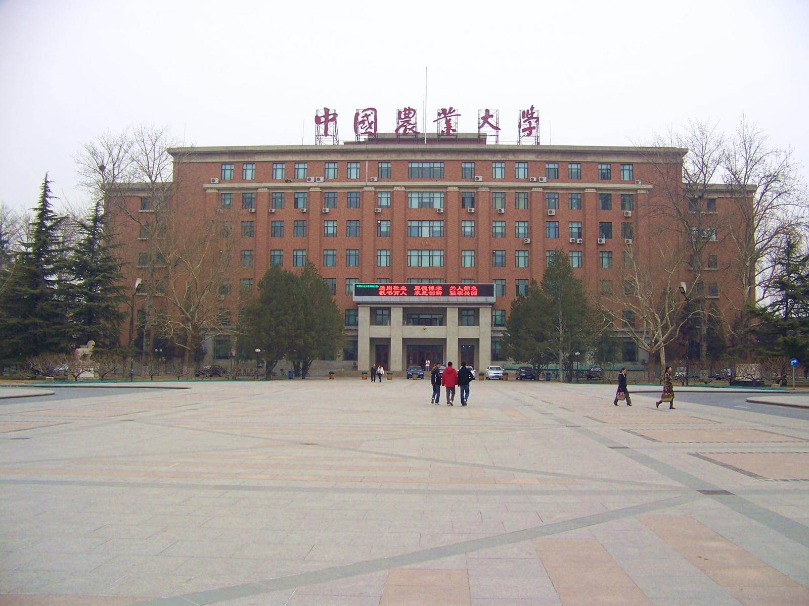 中国农业大学研究生