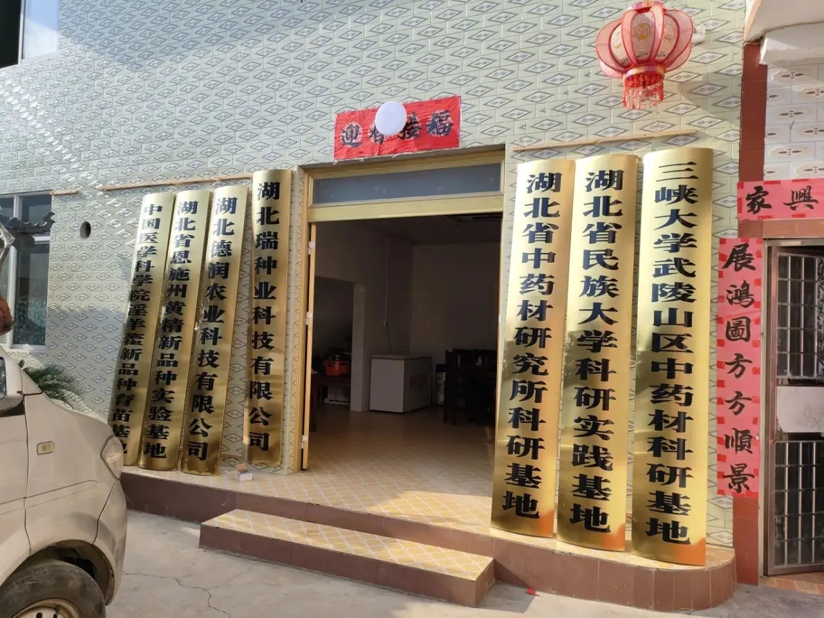 湖北化肥厂