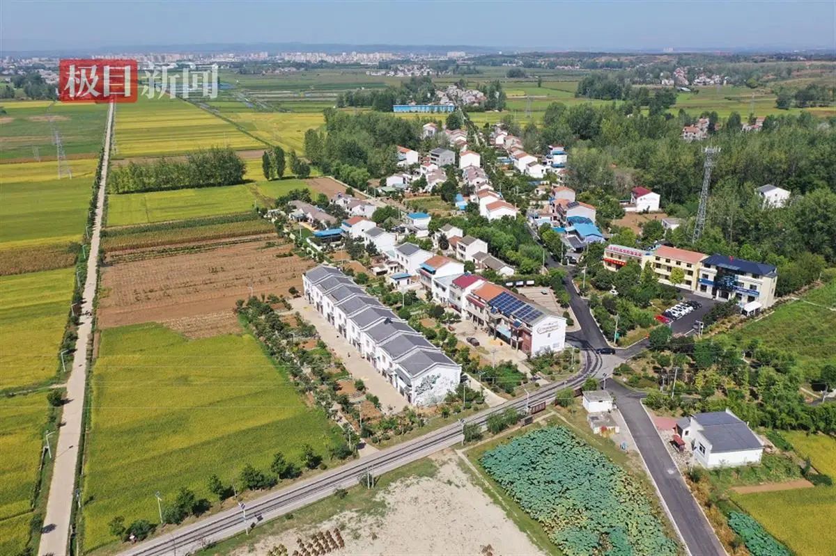 50元一次的“张庄小胡同”到底藏着什么秘密