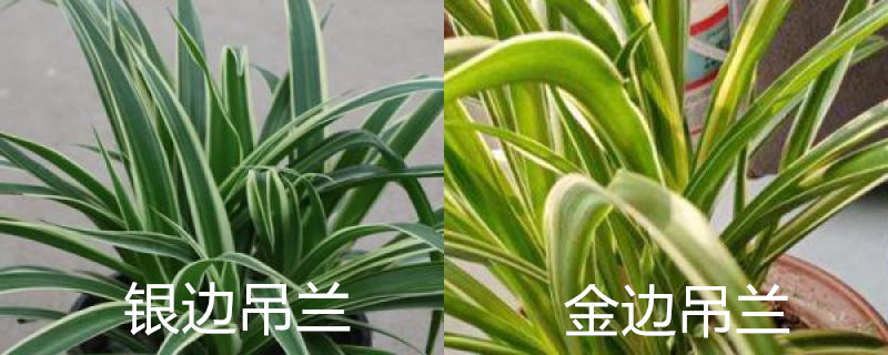 站点风采图片