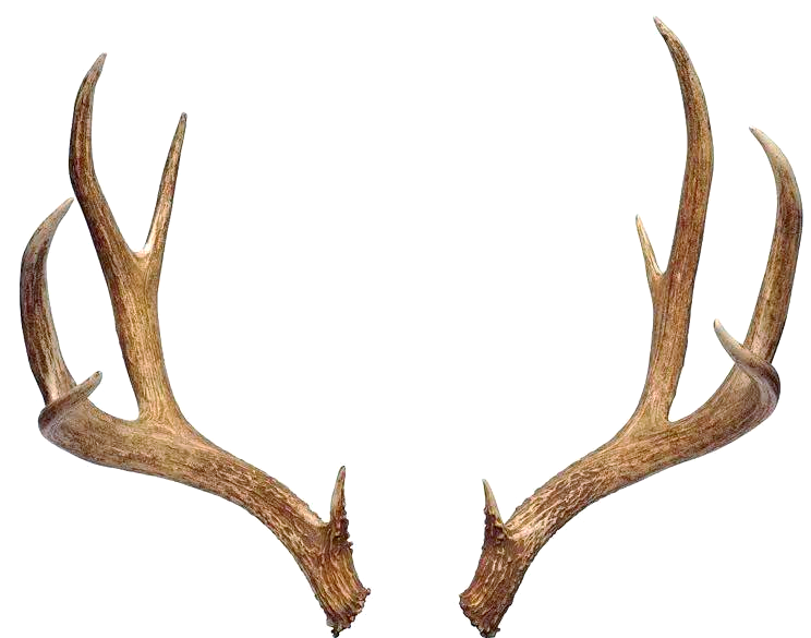 抚顺三大鸡窝打卡地全攻略：超详细徒步路线解析