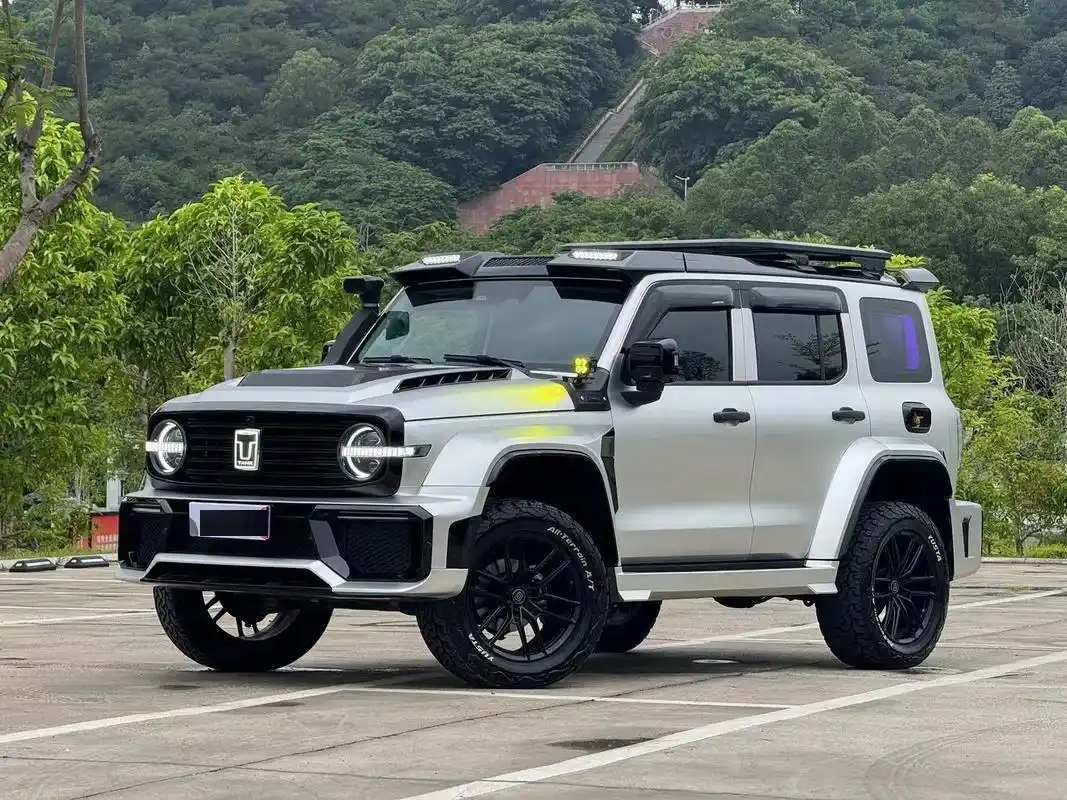 平湖小妹300联系电话详解与含义解析