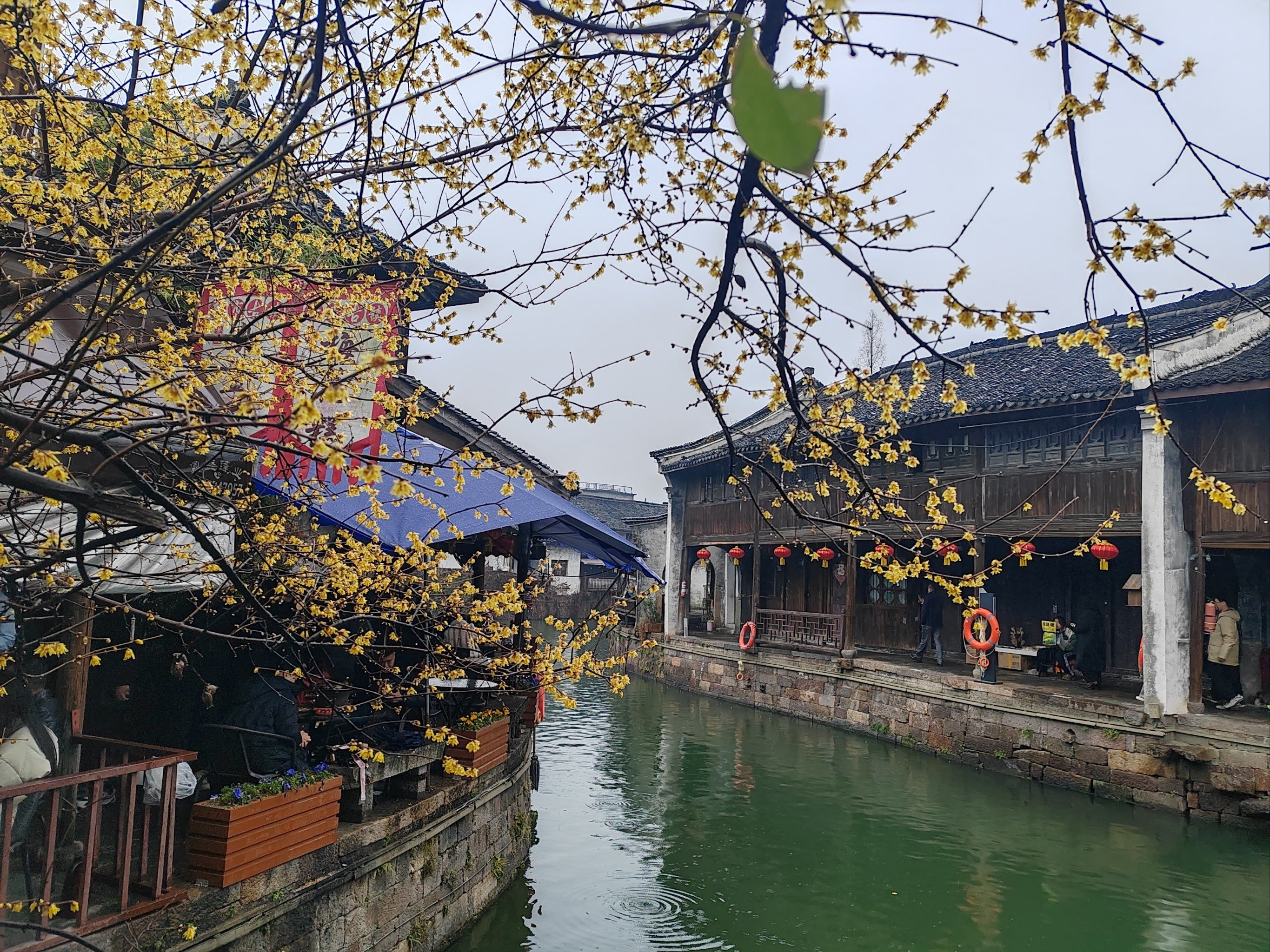 看点新闻:古镇小巷特点是什么