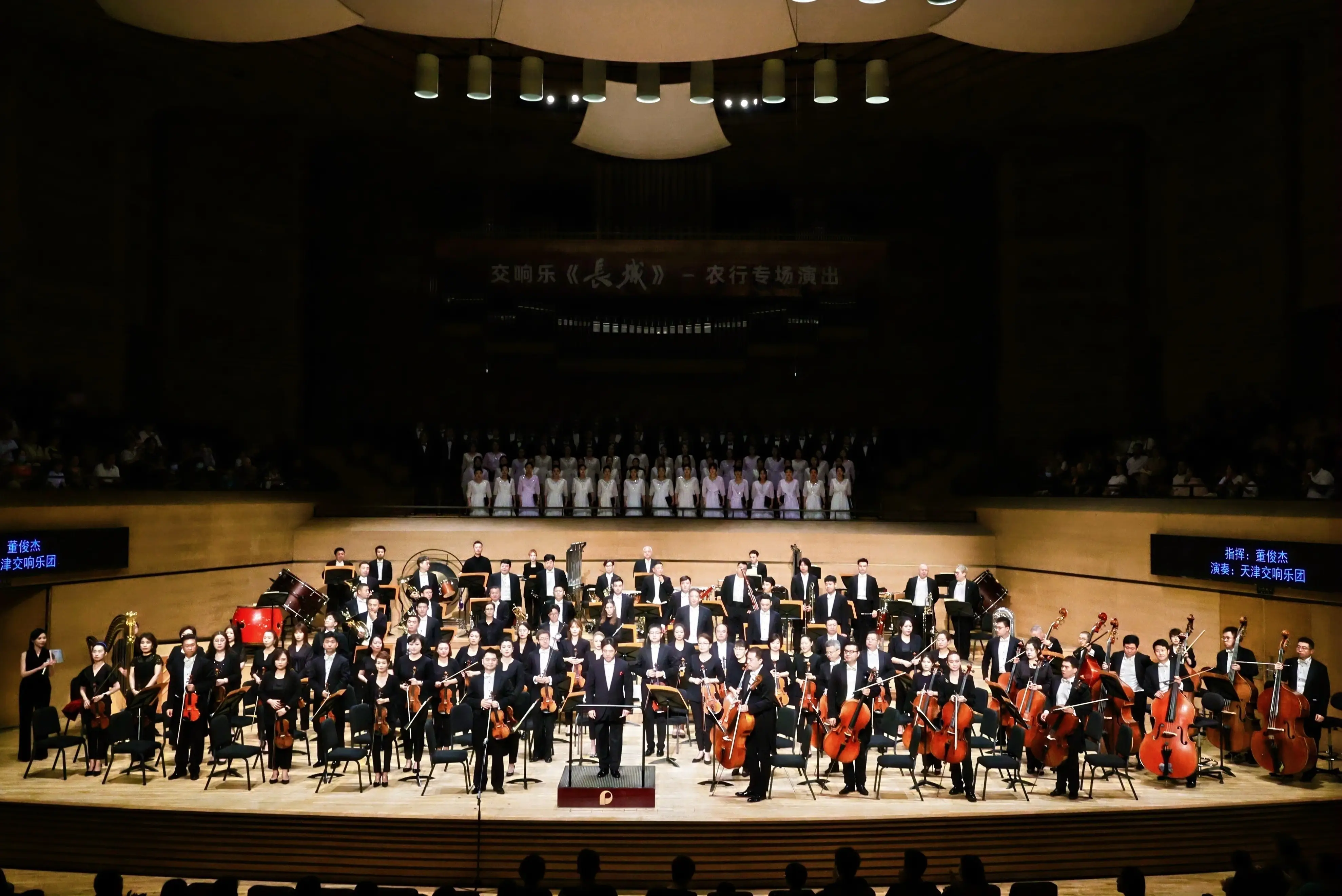 51品茶APP下载官网使用全攻略