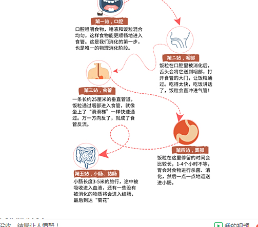 吃饭慢有什么影响 最健康的吃饭方式是什么