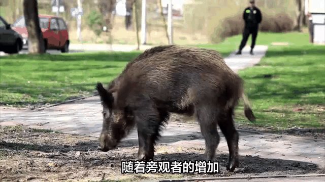 惊现:爱啪网站首页究竟有哪些隐藏功能?实测解析与使用心得分享