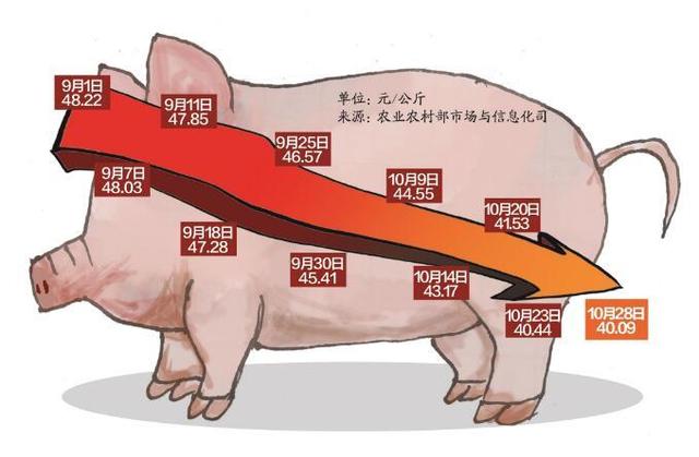 猪肉降价的原因 猪肉降价是好事吗